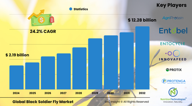 Black Soldier Fly Market Size