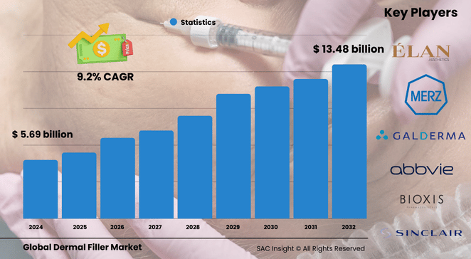 Dermal Fillers Market Size
