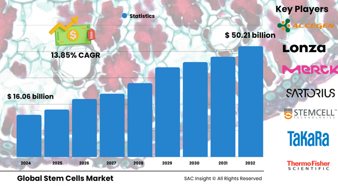 Stem Cells Market Size