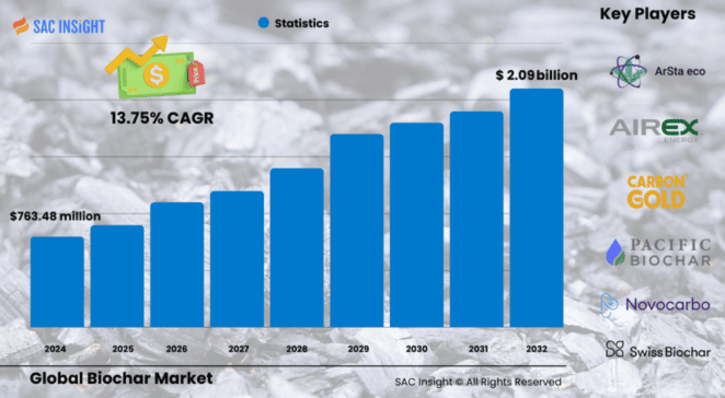 Biochar Market Size