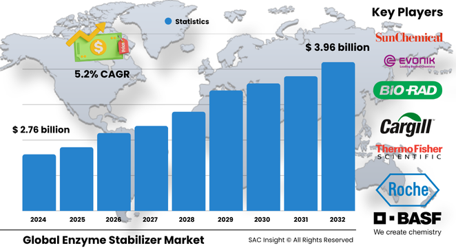 Enzyme Stabilizer Market Size
