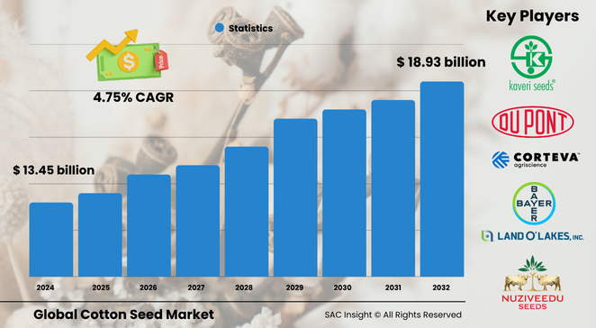 Cotton Seed Market Size